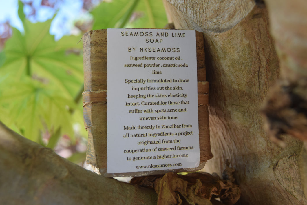 seamoss and lime soap